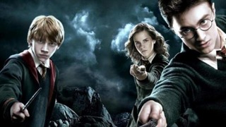 Harry Potter: el significado de las maderas y núcleos de cada una de las varitas del mundo mágico 