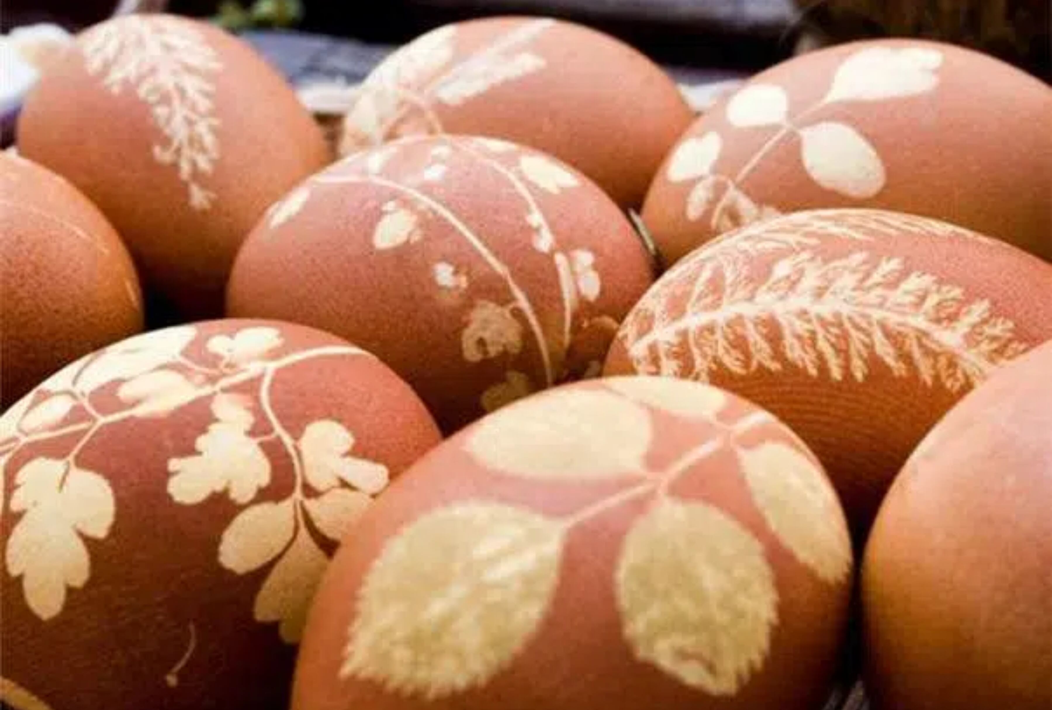 Decorar huevos en Pascua es una tradición llena de color y creatividad que une a las familias en torno a la celebración. Sin embargo, el precio de este producto en Estados Unidos ha tenido un aumento en los últimos meses. (Foto: Internet)
