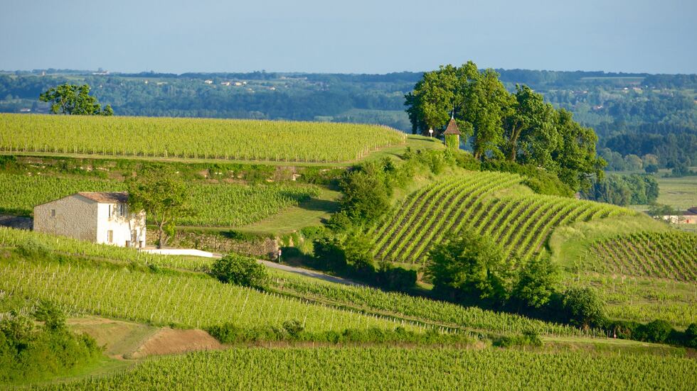 Para los amantes del vino, la región de Burdeos es un paraíso. Con más de 120,000 hectáreas de viñedos y algunos de los mejores vinos del mundo, esta región es un destino imprescindible. Podrás recorrer bodegas, degustar vinos de renombre y disfrutar de la belleza de los paisajes vitivinícolas. (Foto: Expedia).