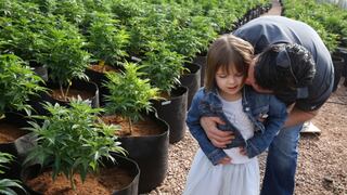 Una cepa de marihuana da esperanza a padres