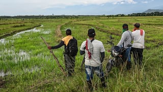 Campesinado se niega a dejar haciendas ocupadas pese a “ultimátum” de gobierno colombiano