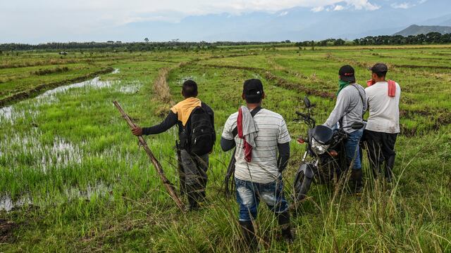 Campesinado se niega a dejar haciendas ocupadas pese a “ultimátum” de gobierno colombiano