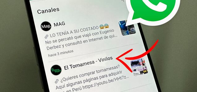 La solución cuando suspendieron tu canal de WhatsApp