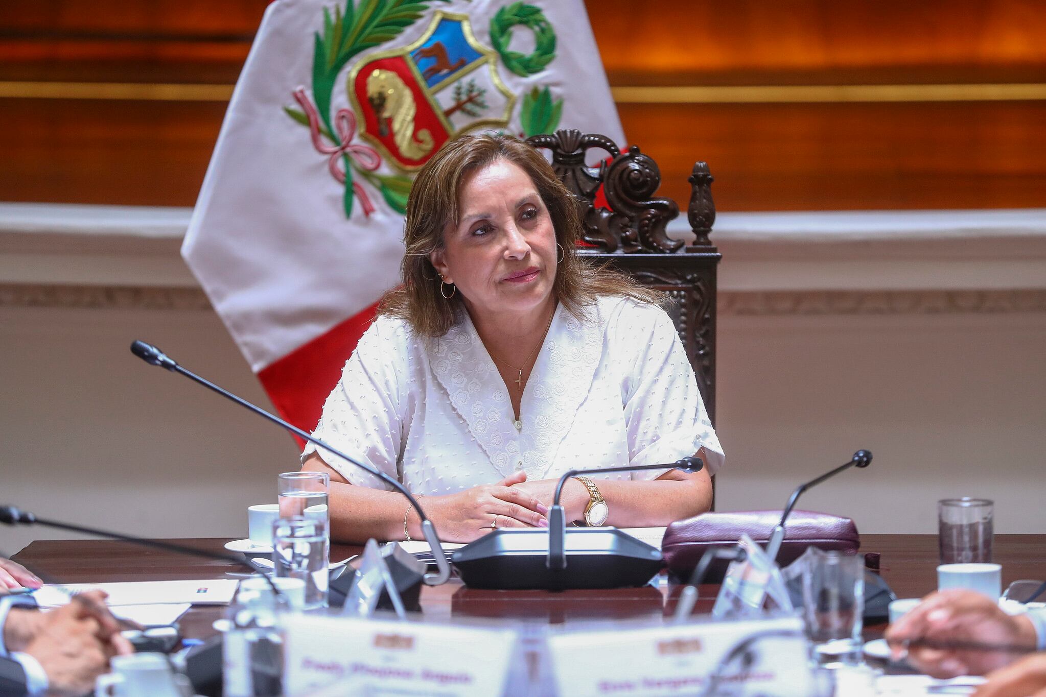 La presidenta Dina Boluarte felicitó a a Friedrich Merz y al bloque conservador por su victoria en las recientes elecciones legislativas en Alemania. (Foto: Presidencia)