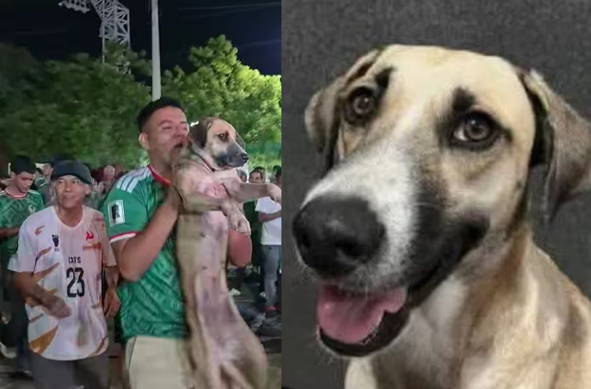 Mujer encuentra a su perrita durante transmisión en vivo de celebraciones por triunfo de México en el Mundial 2026