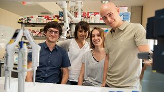 Investigadores crean un "hígado humano" a partir de células madre