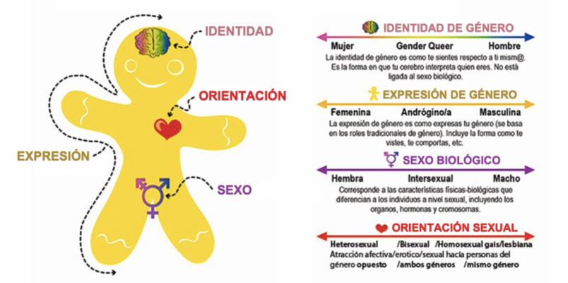 Infografía de Pradejoniensis sobre la diferencia entre sexo biológico, identidad de género y orientación sexual (Foto: Creative Commons)