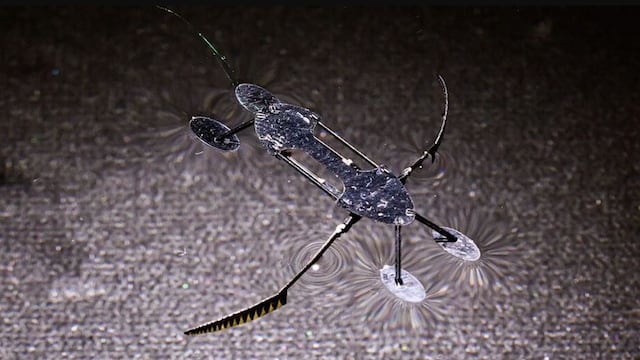 Tan pequeños como insectos: nuevos micro-robots baten récord de tamaño, peso y velocidad 