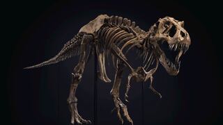 ¿Cuántos millones de Tiranosaurios rex existieron sobre la Tierra?