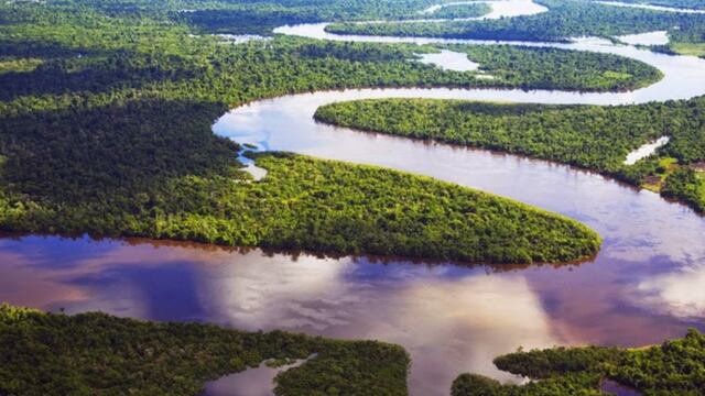 La crisis de la Amazonía