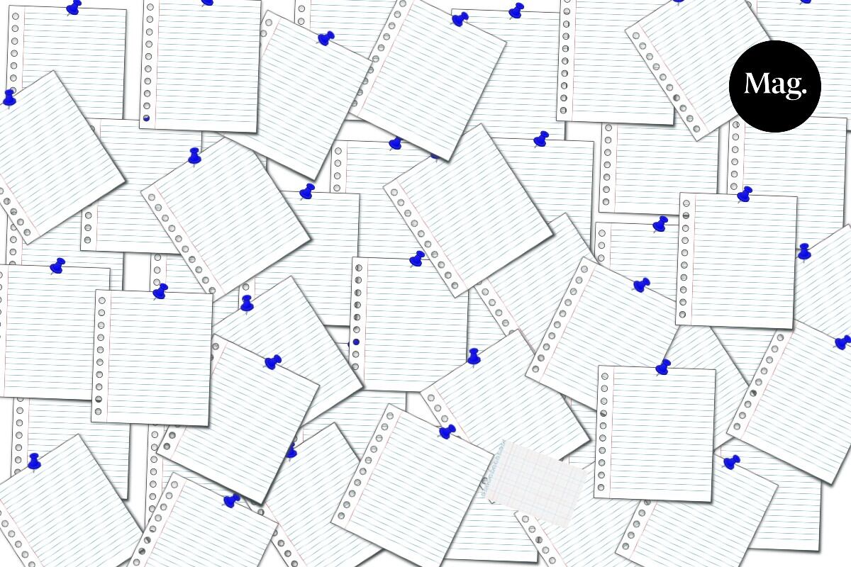ACERTIJO VISUAL | En esta imagen se esconde una hoja cuadriculada y la debes encontrar en menos de 7 segundos. (Foto: Mag)