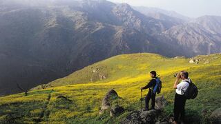 5 rutas de trekking en Lima para olvidarte del estrés | FOTOS