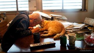 Un gato fue capaz de cambiar el ánimo de un anciano gruñón