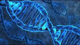 Identifican más de 3 mil genes imprescindibles para vivir