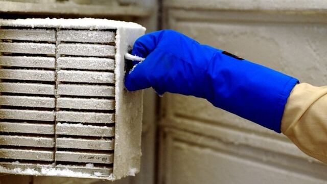 La investigación de 20 años que quedó arruinada por un empleado de limpieza que desconectó un refrigerador