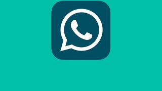 Cómo actualizar WhatsApp Plus sin perder tus conversaciones