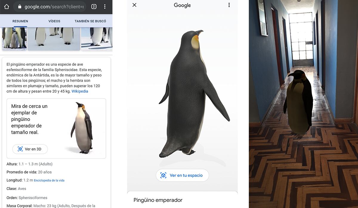 Para poder activar un animal en 3D deberás buscar al personaje y activar tu cámara. (Foto: Google)