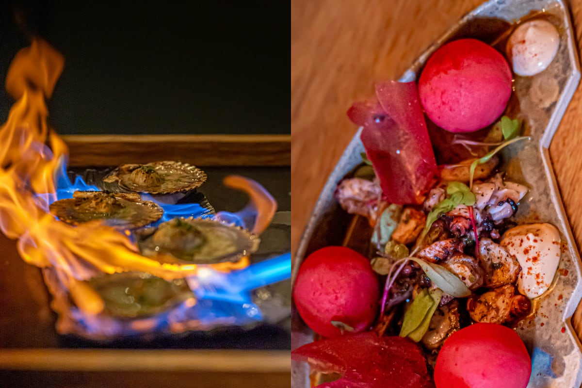 Conchas a la parmigiana y pulpo a la gallega en Zerrano.