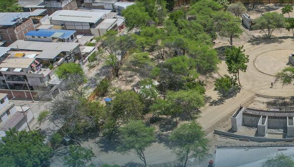 Municipalidad de Piura niega tala de árboles durante construcción del Parque de las Aguas. (MPP/Facebook)