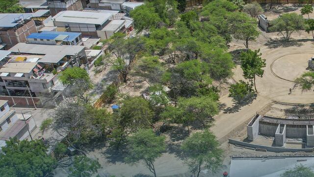 Municipalidad de Piura niega tala de árboles durante construcción del Parque de las Aguas