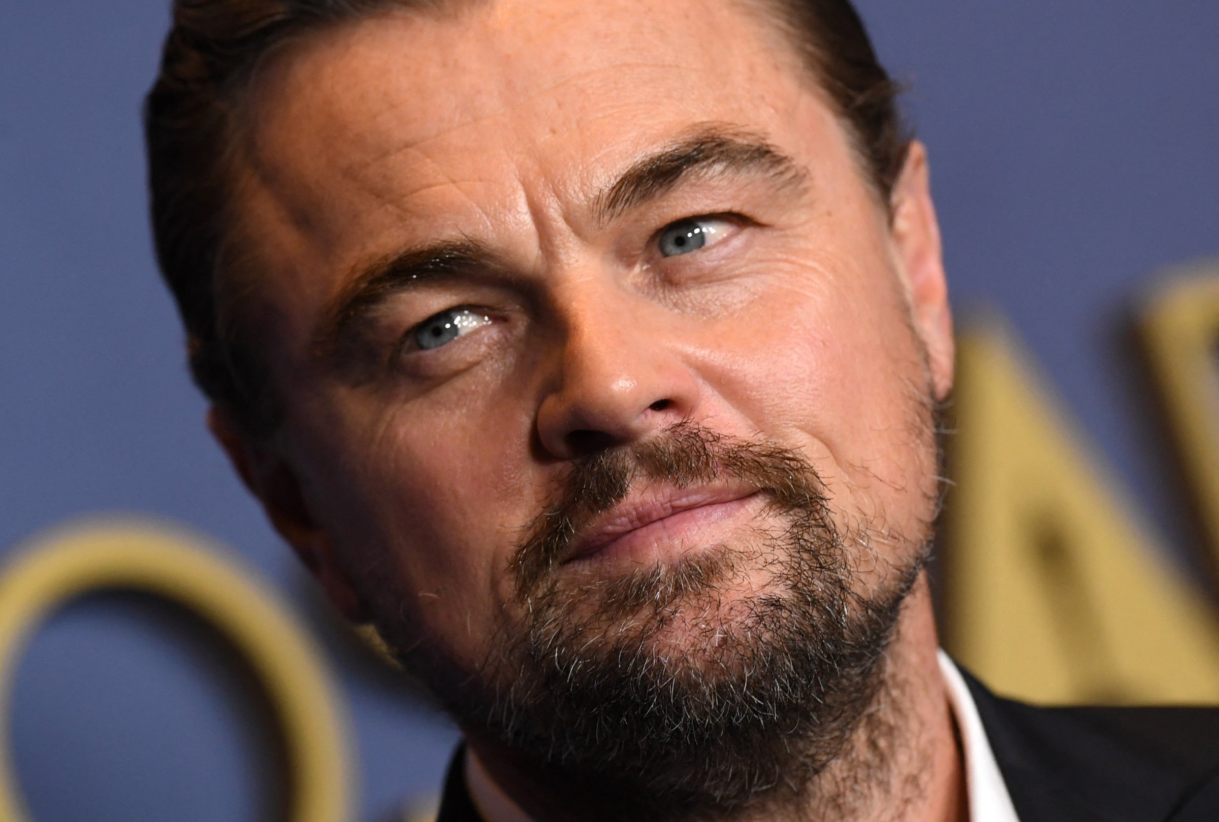 Leonardo DiCaprio conoció a la que considera la mejor actriz en la película “Marvin’s Room” (Foto: Valerie Macon / AFP)