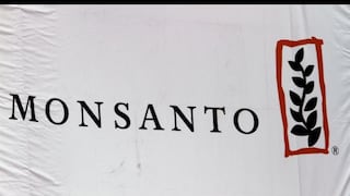 Monsanto renuncia a su lucha por la industria transgénica en Europa 