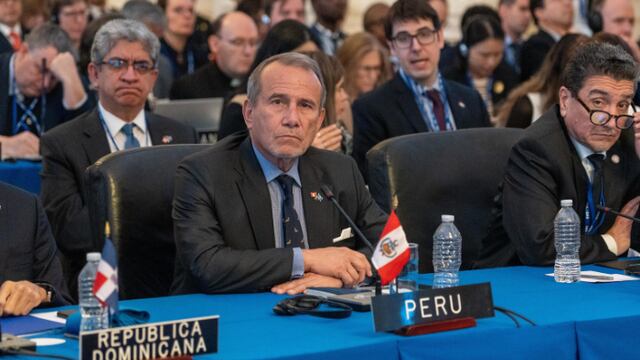 Canciller Elmer Schialer pide a OEA seguir abordando crisis política y democrática de Venezuela