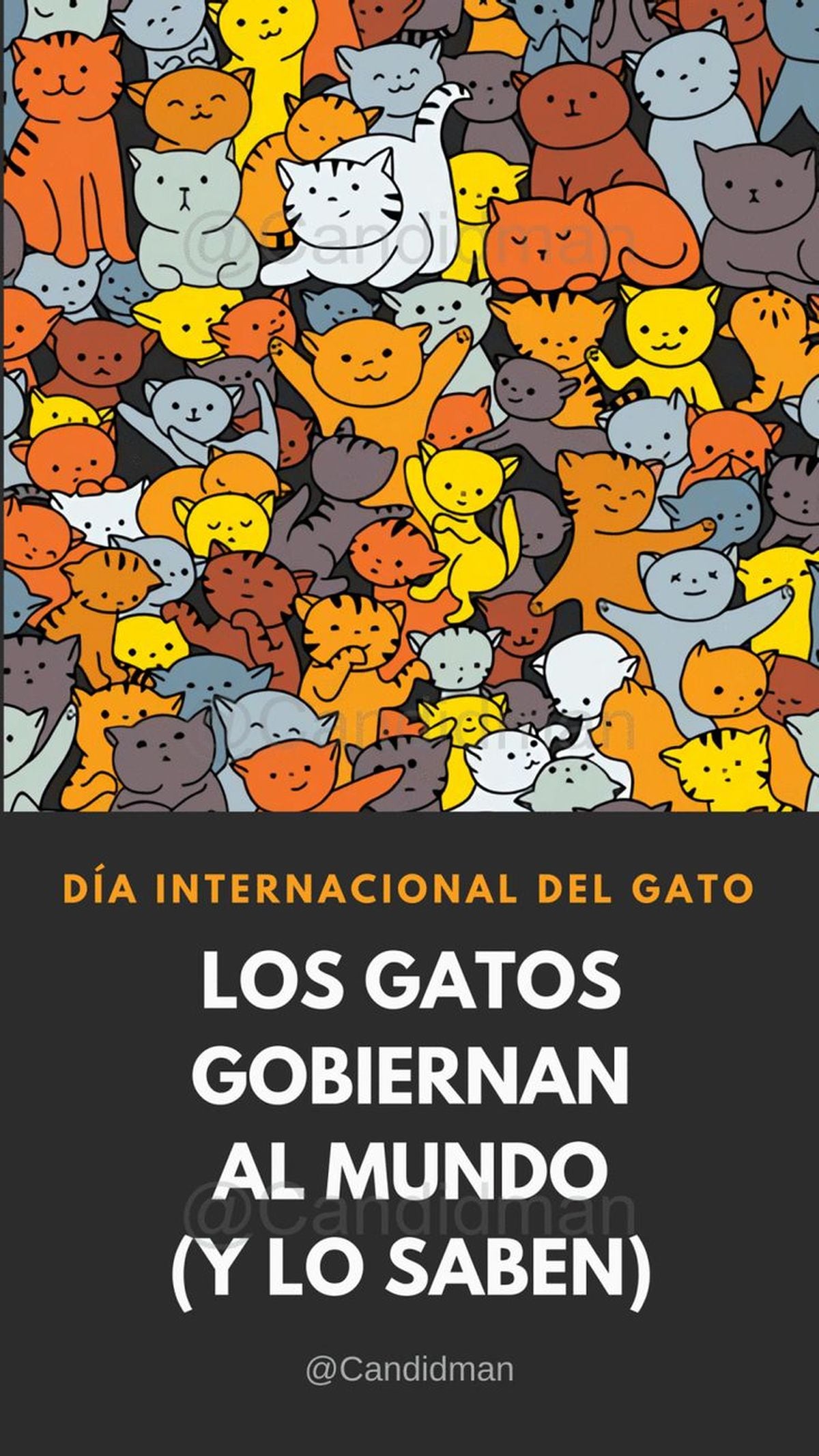 Imágenes que puedes utilizar en Instagram y otras redes sociales por el Día Internacional del Gato. (Pinterest)