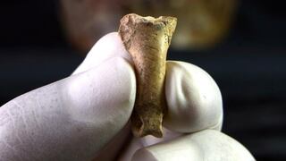 Cómo es “el último collar de los neandertales” que fue hallado en España