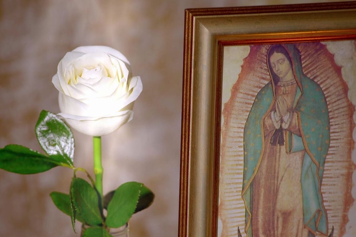 ¿Cuáles son los lugares más raros a los que ha llegado la rosa bendita? Aquí todos los detalles (Foto: Televisa)