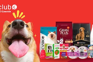 Cuida a tu mascota con 10% de descuento en Mastica gracias a Club El Comercio