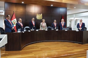 Congresista Alfredo Pariona presenta denuncia constitucional contra magistrados del TC por archivar Caso Cocteles