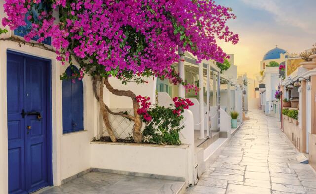 Para acceder a algunos pueblos de Santorini, es necesario utilizar burros o mulas debido a las estrechas y empinadas calles. Sin embargo, en los últimos años, ha habido preocupaciones sobre el bienestar de los animales, y se han implementado medidas para limitar su uso. (Foto: Pixabay)