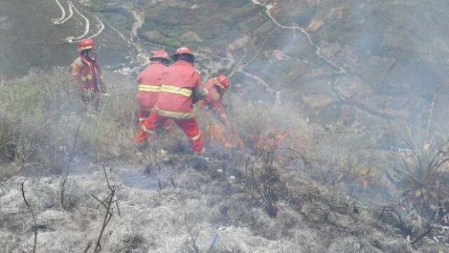 Bomberos especializados llegarán mañana a Kuélap para sofocar incendio forestal