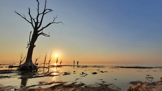 Desafíos ambientales de Argentina en 2024: el gigantesco reto de instalar una agenda sostenible frente a un gobierno que niega el cambio climático