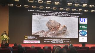 Hallazgo de entierros de niños chimú sacrificados fue premiado en China  