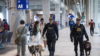 Guardianes de cuatro patas: los secretos detrás de los perros que patrullan las rutas calientes del nuevo aeropuerto y los puertos del país