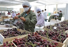 Midagri: ventas por agroexportaciones superaron los US$11.500 millones en primeros diez meses del año