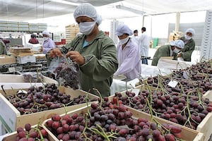 Midagri: ventas por agroexportaciones superaron los US$11.500 millones en primeros diez meses del año