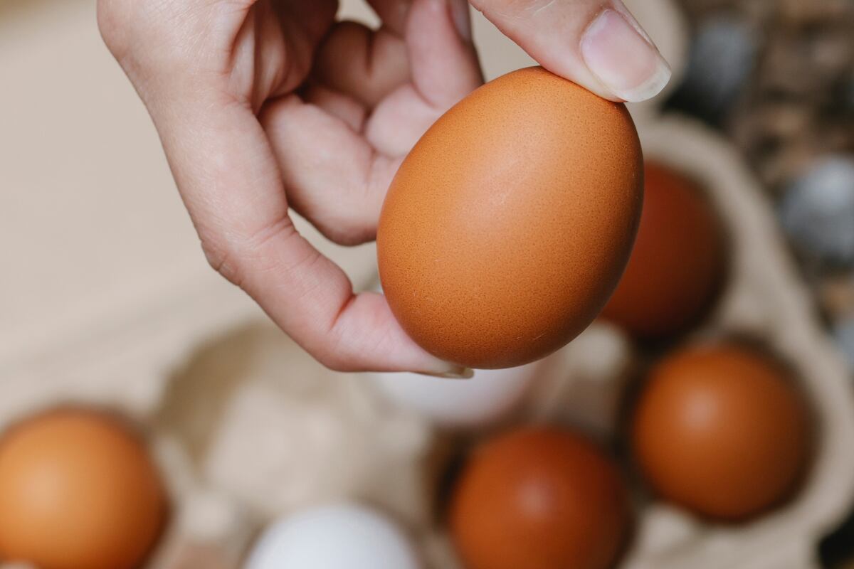 El huevo está presente en la mayor parte de platillos y dietas (Foto: Canva)
