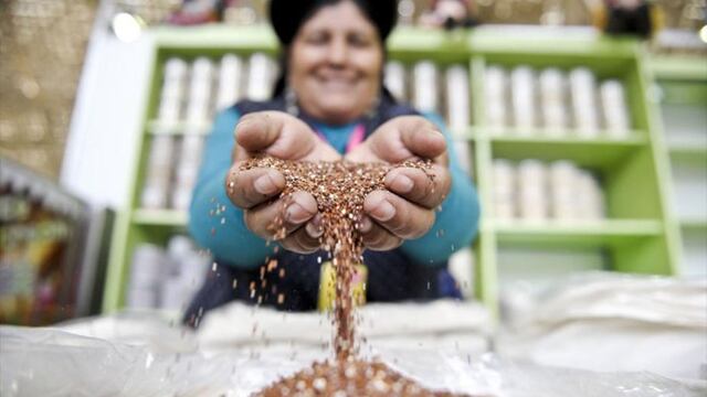 Cuatro de cada diez hogares agrícolas salieron de la pobreza en últimos 20 años