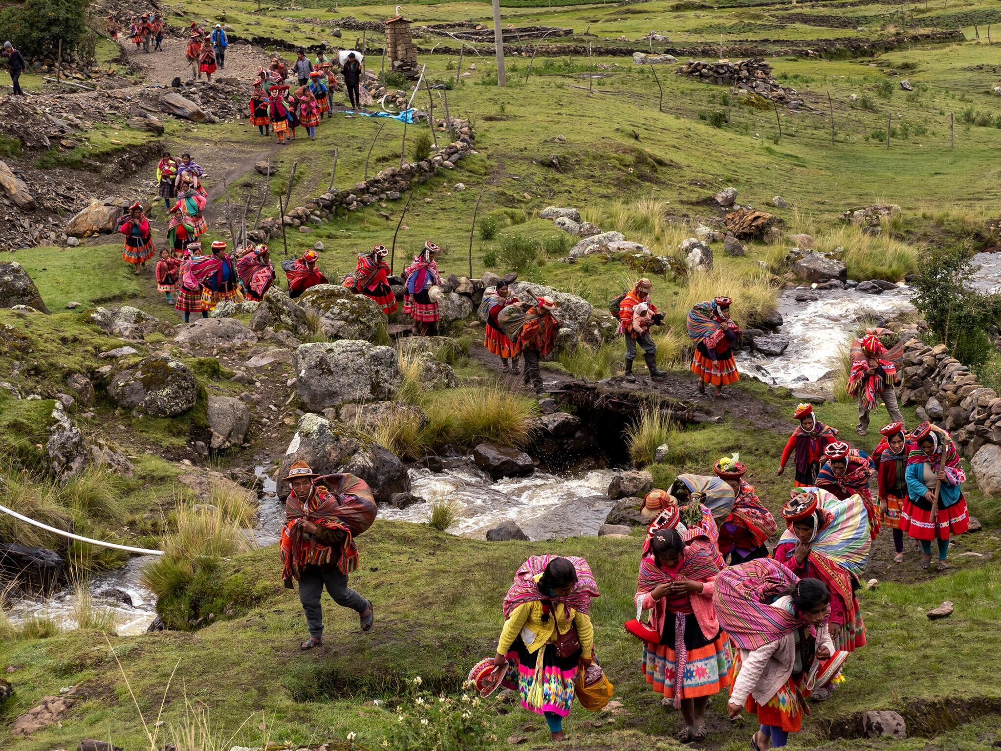 Día Internacional de los Bosques.
