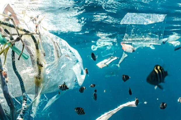 400 millones de toneladas de plástico se producen anualmente en el mundo. (Foto: WWF)