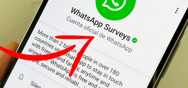 Qué es WhatsApp Surveys y por qué te pide llenar una encuesta