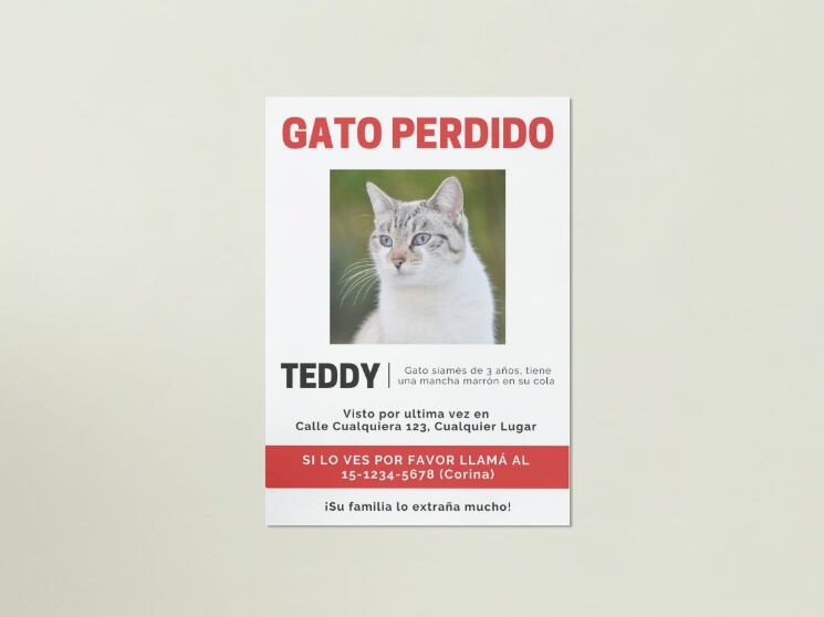 Ejemplo de afiche. (Imagen: estudioenebro/Canva)