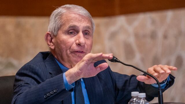 Anthony Fauci: el epidemiólogo jefe de Estados Unidos se retirará antes de 2024