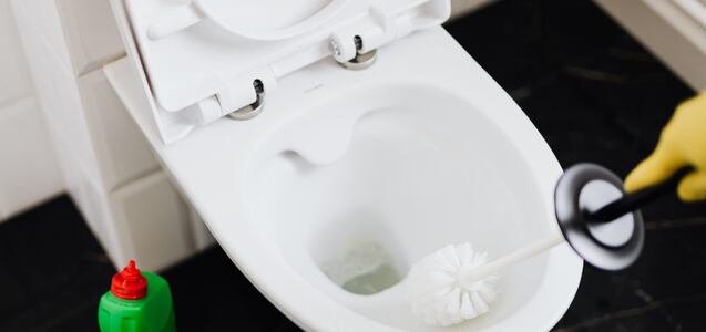 Trucos caseros efectivos para limpiar el inodoro y dejarlo sin manchas o sarro