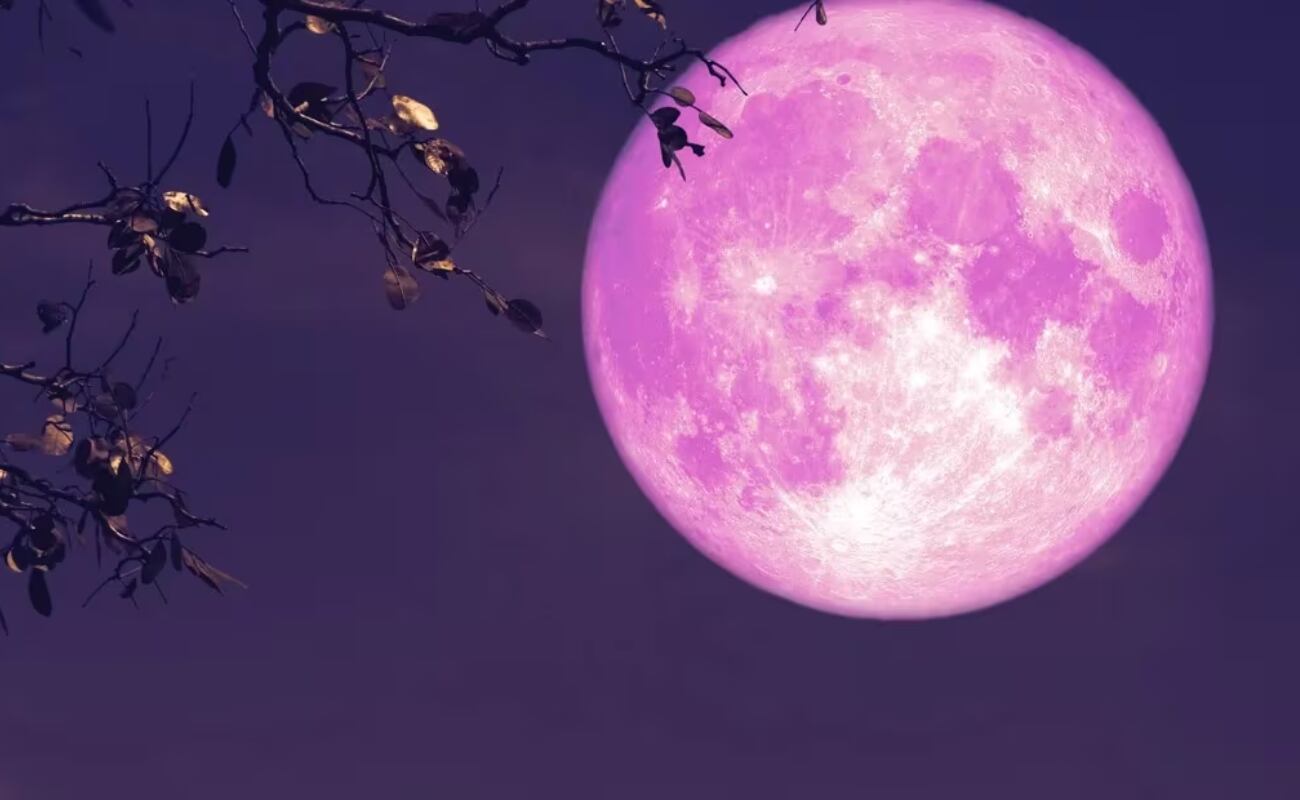 Los amantes de la astronomía podrán ver uno de los eventos más fascinantes del mes cuando la Luna Rosa ilumine el cielo este domingo 13 de abril.