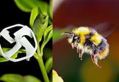 Este es el robot de vuelo controlado más pequeño del mundo y emula a un abejorro