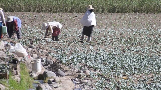 Ley de Promoción Agraria: gremios alertan sobre cómo se puede afectar a la agricultura familiar